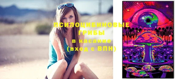 прущая мука Новодвинск