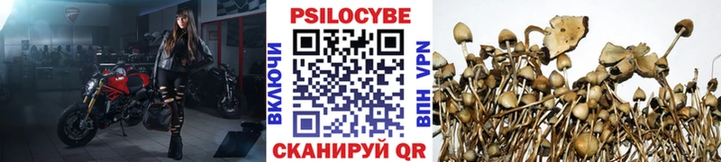 где купить наркоту  Слюдянка  ОМГ ОМГ зеркало  Псилоцибиновые грибы GOLDEN TEACHER 